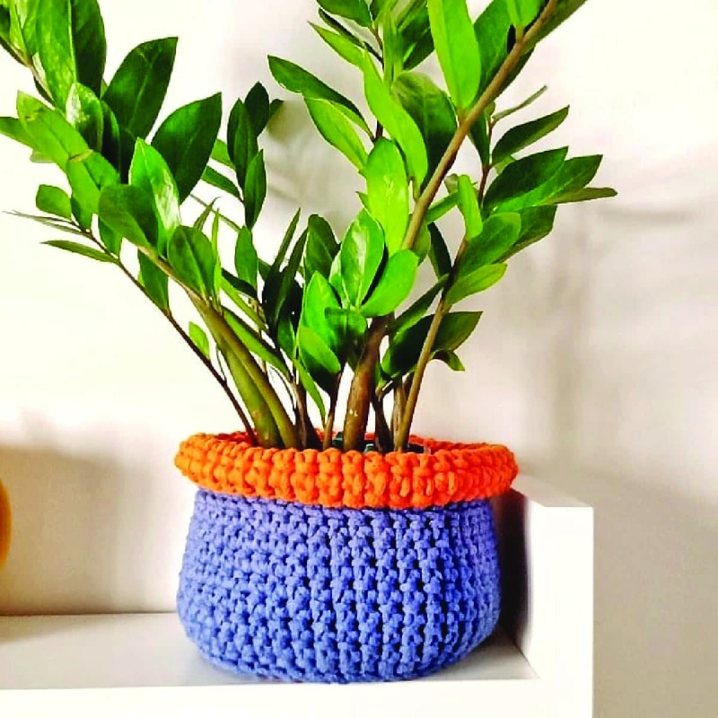 Medusa - Pudra Pembe